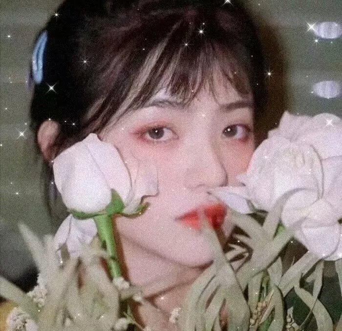 青春似火
